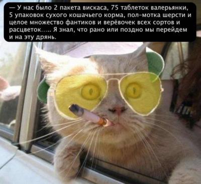 Прикрепленное изображение: CGlK2X0sDU8.jpg